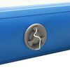 vidaXL Pont flottant gonflable Bleu et blanc 300x150x15 cm