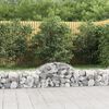 vidaXL Paniers &agrave; gabions arqu&eacute;s 40 pcs 200x50x40/60 cm fer galvanis&eacute;