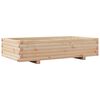 Natural_pine