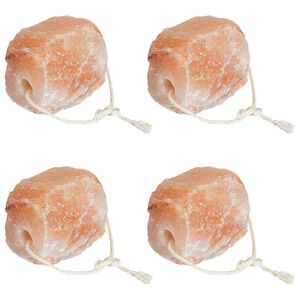 vidaXL Pierres &agrave; L&eacute;cher en Sel 4 pi&egrave;ces Rose Sel de Roche