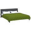 vidaXL Duvet d'&eacute;t&eacute; simple Vert 220 x 200 cm Microfibre