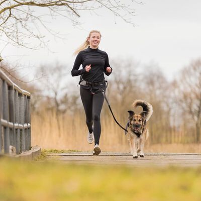 TRIXIE Ceinture de jogging pour chien avec laisse Gris et noir