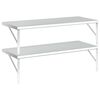 vidaXL &Eacute;tag&egrave;res murales 2 pcs 100x40 cm argent&eacute; acier inoxydable