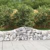 vidaXL Paniers &agrave; gabions arqu&eacute;s 30 pcs 200x30x40/60 cm Fer galvanis&eacute;