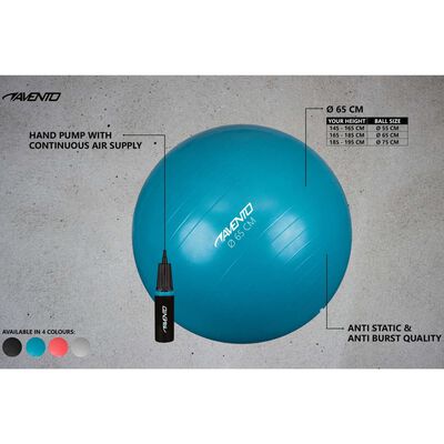 Avento Ballon de fitness/d'exercice et pompe Diamètre 65 cm Noir