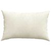 vidaXL Coussins de canap&eacute; 2 pcs Cr&egrave;me 60 x 40 cm