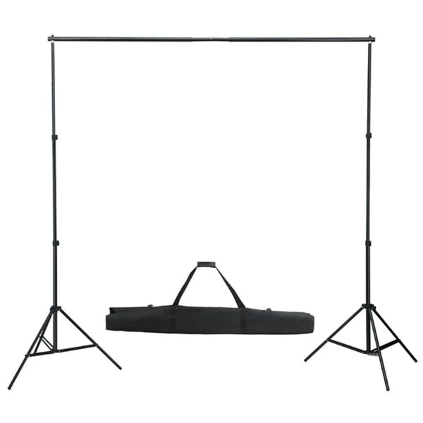 vidaXL Kit de studio photo bo&icirc;te &agrave; lumi&egrave;re toile de fond et r&eacute;flecteur