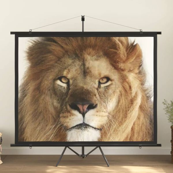 vidaXL &Eacute;cran de projection avec tr&eacute;pied 100" 4:3