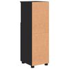 vidaXL Cabinet de salle de bain avec stockage Noir 30 x 35 x 95 cm