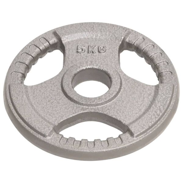 vidaXL Plaques de poids olympiques 4 pcs 20 kg Fonte