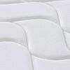 vidaXL Matelas &agrave; ressorts ensach&eacute;s duret&eacute; moyenne 100x200 cm