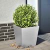vidaXL Jardini&egrave;re 40x40x40 cm acier inoxydable