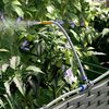 vidaXL Cache-pot de jardin 2 pcs Noir Acier