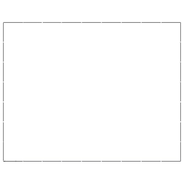 vidaXL Chenil d'extérieur pour chiens Acier 58,06 m²