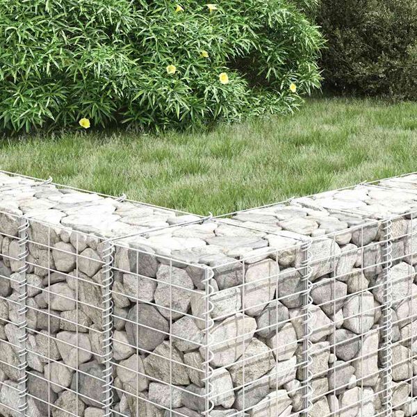 vidaXL Lits sur&eacute;lev&eacute;s en gabion 3 pcs 30x30x50 cm Fer