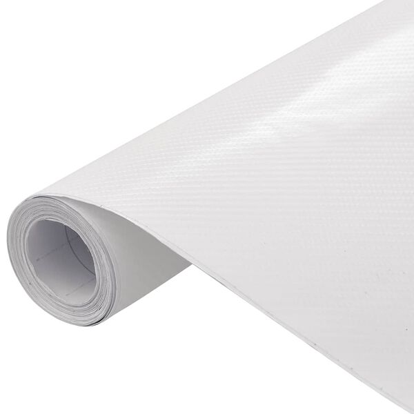 vidaXL Films 4D de voiture 2 pcs Blanc 100x150 cm