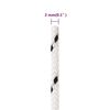 vidaXL Corde de bateau tress&eacute; Blanc 2 mmx250 m Polyester