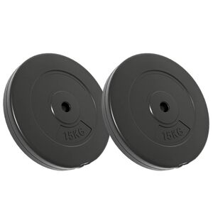 vidaXL Plaques de poids 2 pcs 30 kg B&eacute;ton