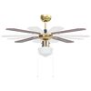 vidaXL Ventilateur de plafond avec lampe 106 cm Marron