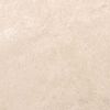 vidaXL Coureur de Tapis MARSA Cr&egrave;me 300 x 80 cm Polyester et PVC
