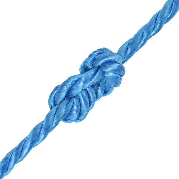 vidaXL Corde torsad&eacute;e Polypropyl&egrave;ne 10 mm 250 m Bleu