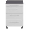 Germania Armoire sur roulettes GW-Profi 2.0 42x49x61 cm Gris clair