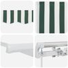 vidaXL Auvent Vert et blanc 300 x 250 x 165 cm Polyester