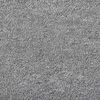 vidaXL Tapis Couloir Gris clair 100 x 200 cm 100% Polypropyl&egrave;ne