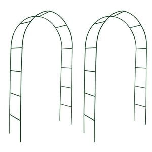 vidaXL Arche de jardin 2 pcs pour plantes grimpantes