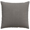 vidaXL Coussins de canap&eacute; 2 pcs Gris clair 50 x 50 cm