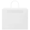 vidaXL Sacs en papier 250 pcs avec poign&eacute;es blanc 32x22x24 cm