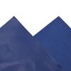vidaXL B&acirc;che bleu 5x8 m 650 g/m&sup2;