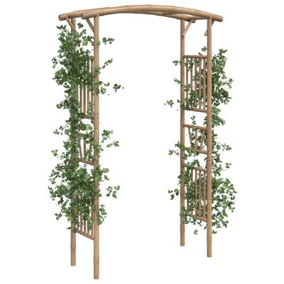 vidaXL Arche pour rosiers Bambou 118x40x187 cm