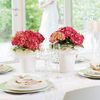 LECHUZA Jardini&egrave;re MINI DELTINI ALL-IN-ONE Blanc