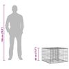 vidaXL Lit sur&eacute;lev&eacute; gabion Argent&eacute; 60 x 60 x 40 cm Acier galvanis&eacute;