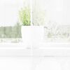 vidaXL Rideau en Dentelle Floral Blanc 280 x 150 cm Polyester