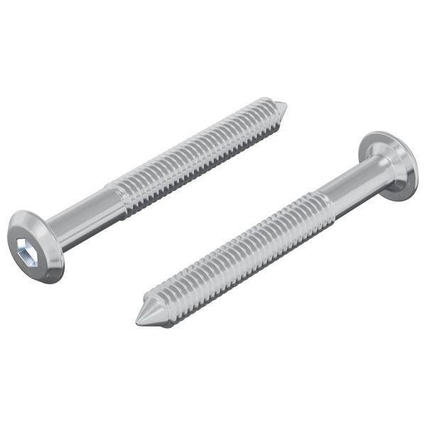 vidaXL Vis 2 pcs Argent&eacute; M6 x 50 mm Acier