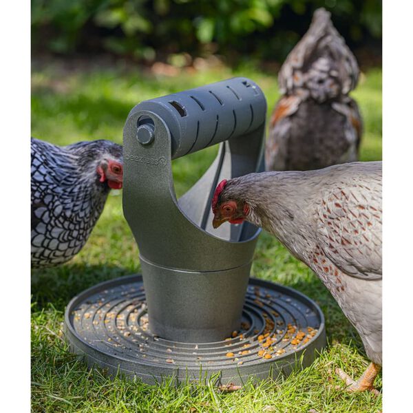 Beeztees Tour de jeu et &agrave; nourriture pour poulets 30x30x30 cm Gris