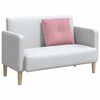 vidaXL Coussin de Dos Rose 60 x 50 cm Tissu en velours c&ocirc;tel&eacute;