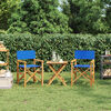 vidaXL Chaises de metteur en sc&egrave;ne pliantes lot de 2 Bois teck massif