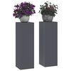 vidaXL Support de Plante 2 pcs Anthracite 24 x 24 x 75 cm Acier