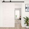 vidaXL Porte de grange Blanc 100x1,8x214 cm Bois massif de pin