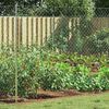 vidaXL Cl&ocirc;ture en treillis m&eacute;tallique Galvanis&eacute; 2 x 10 m Verre