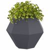 vidaXL Jardini&egrave;re 2 pcs Anthracite 75 x 75 x 60 cm Acier