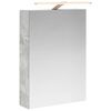 vidaXL Armoire Miroir de Salle de Bain Gris b&eacute;ton 50 x 14,5 x 70 cm