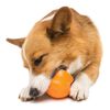 West Paw Jouet pour chiens avec Zogoflex Toppl Orange mandarine S