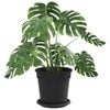 vidaXL Pots de plantes 24 pcs Noir &Oslash; 17 x 14 cm Plastique