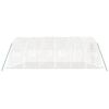 vidaXL Serre avec cadre en acier blanc 30 m&sup2; 6x5x2,3 m