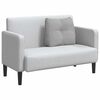 vidaXL Coussin de Dos Gris nuage 60 x 24 x 50 cm tissu