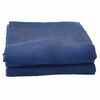 vidaXL Tapis de tente Bleu 250 x 250 cm Polyester